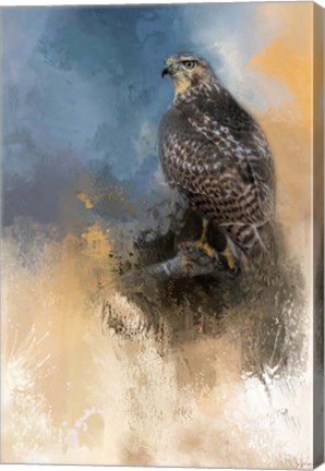 Framed Redtail In Winter Print