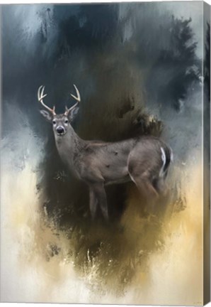 Framed Shiloh Buck Print