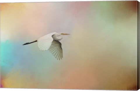 Framed Silent Beauty Print
