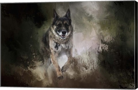 Framed To The Rescue Print