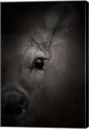 Framed Watching Print