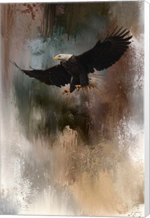 Framed Winter Eagle 1 Print