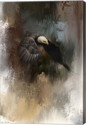 Framed Winter Eagle 2 Print