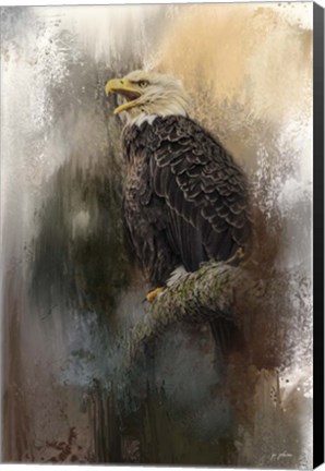 Framed Winter Eagle 3 Print