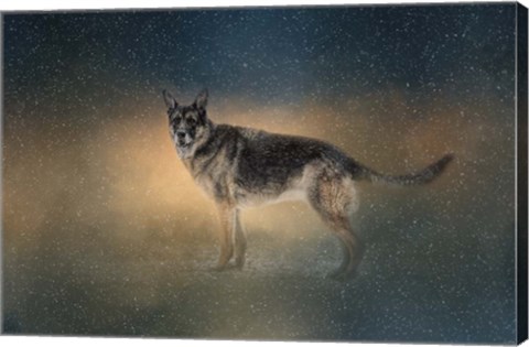 Framed Winter Shepherd Print