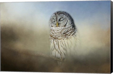 Framed Daydreaming Print