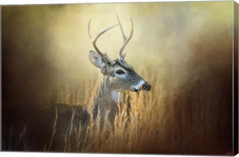Framed Doe Chasing Print