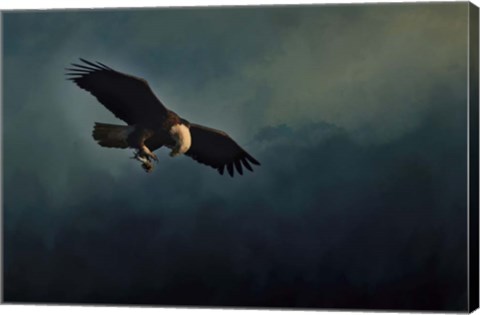 Framed Fishing At Dusk Print