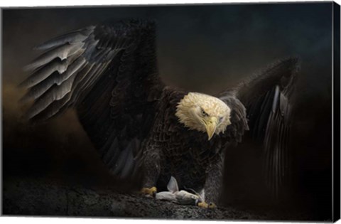 Framed Fresh Catch Print