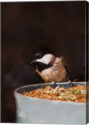 Framed Hanging On The Edge Print