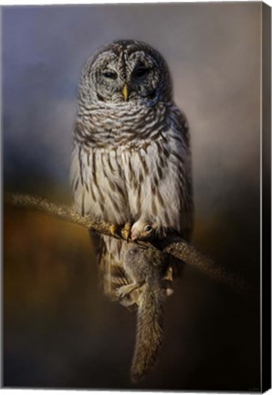 Framed Last Catch Of The Day Print