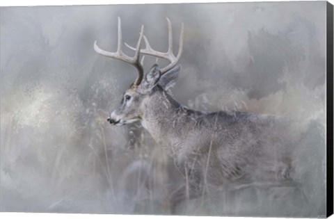 Framed Meeting Winter Head On Print