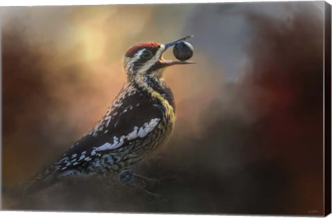 Framed One Cracked Nut Print