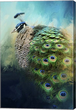 Framed Peacock In Winter Print