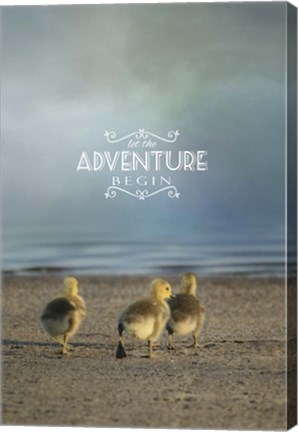 Framed First Big Adventure with words Print