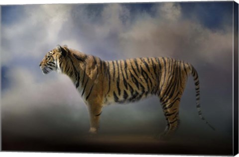 Framed Waiting In The Light Print