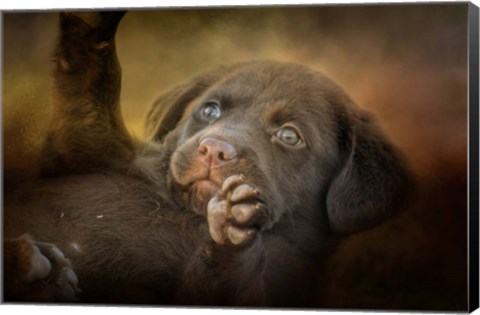 Framed Welcoming The Sun Print