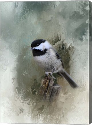 Framed Winter Chickadee Print