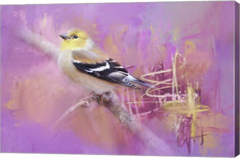 Framed Abstract Goldfinch Print