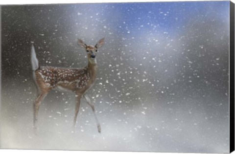 Framed Step Out In Faith Print