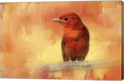 Framed Summer Red Print