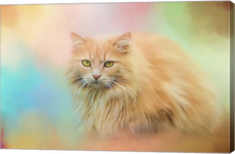 Framed Waiting for Birds Print