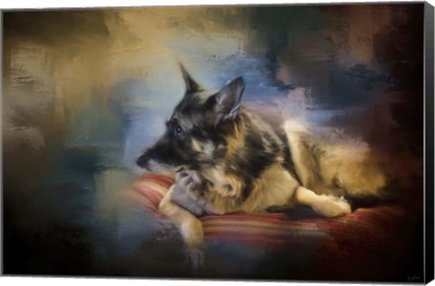 Framed Watching The Drama Print