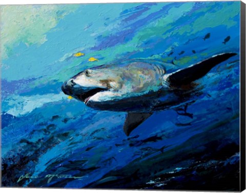 Framed Mighty Bull Shark Print