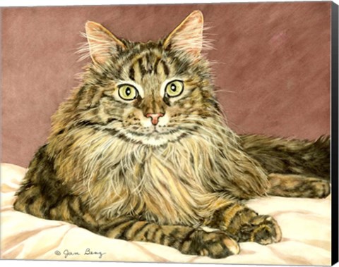 Framed Lady Pounce Print