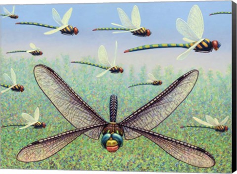 Framed Crossways Print