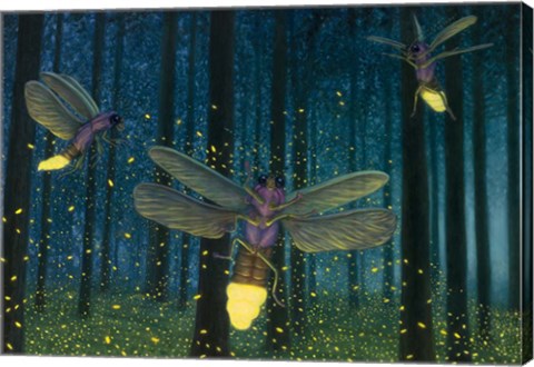 Framed Night Light Flight Print