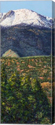 Framed Pike's Peak in Summer Print