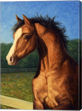 Framed Stir Crazy Print