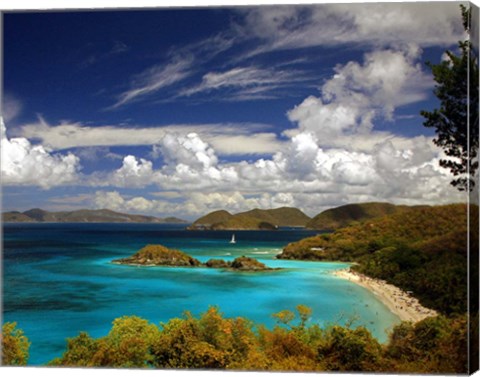 Framed Trunk Bay Print