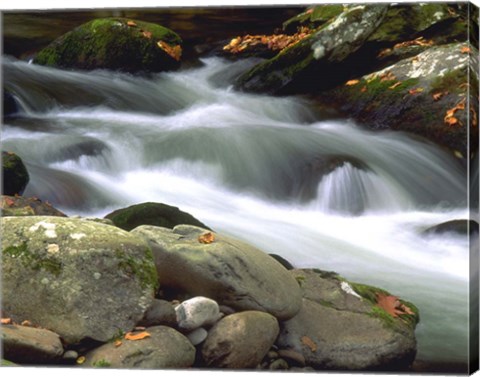 Framed Little River Elkmont #1 Print