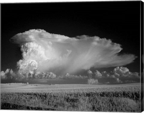 Framed Thunderhead Print
