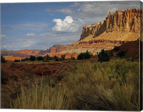 Framed Capital Reef, UT Print