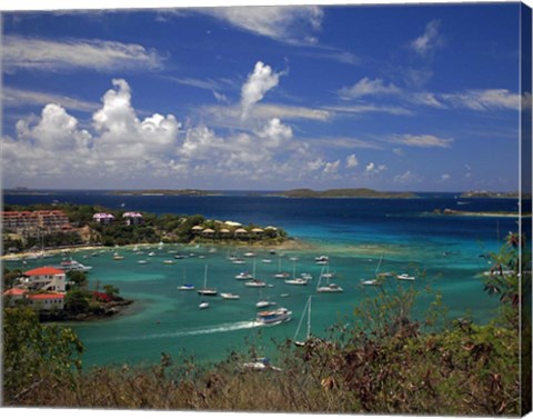 Framed St. John&#39;s Harbor Print