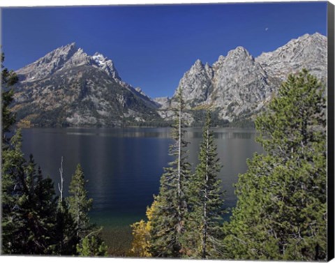 Framed Tetons  II Print