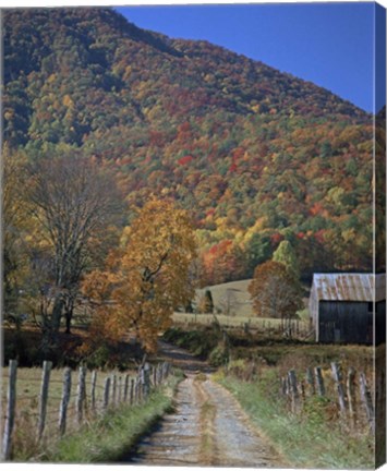 Framed Mt. Lane Print