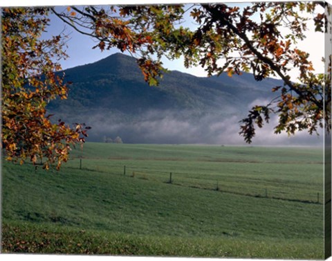 Framed Cades Cove Print