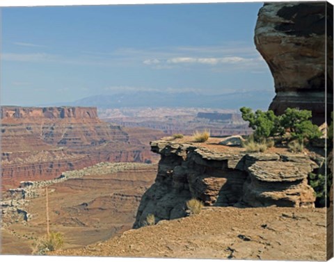Framed Canyonlands Print
