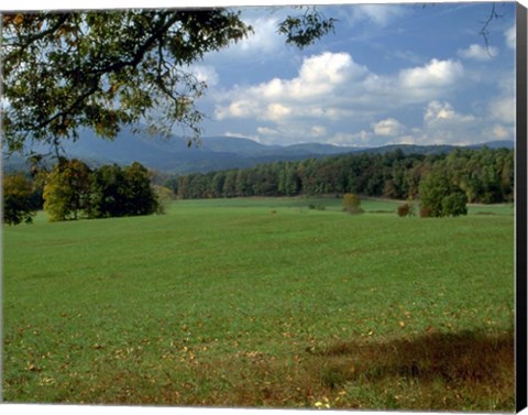 Framed Cades Cove II Print