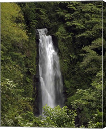 Framed Jungle Falls Print
