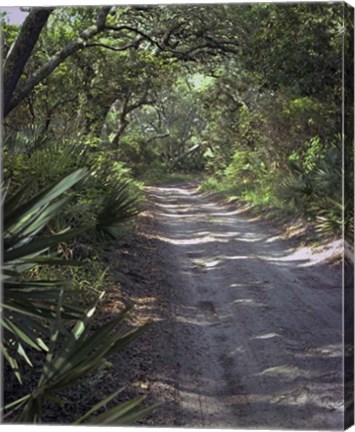 Framed #196  Sandy Lane Print