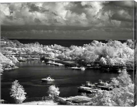 Framed #208 IR P  St. Lucia Print