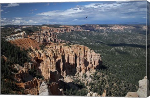 Framed #214 Soaring over Bryce Print