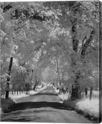 Framed 233 Sparks Ln IR Print