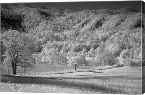 Framed 236 Smokies IR Print