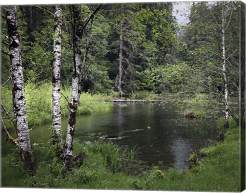 Framed 238 Olympic NP Print